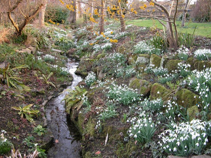 East Lambrook Manor Gardens